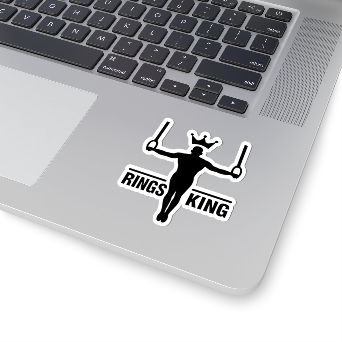 Fitness Motivation Stickers, Rings King.